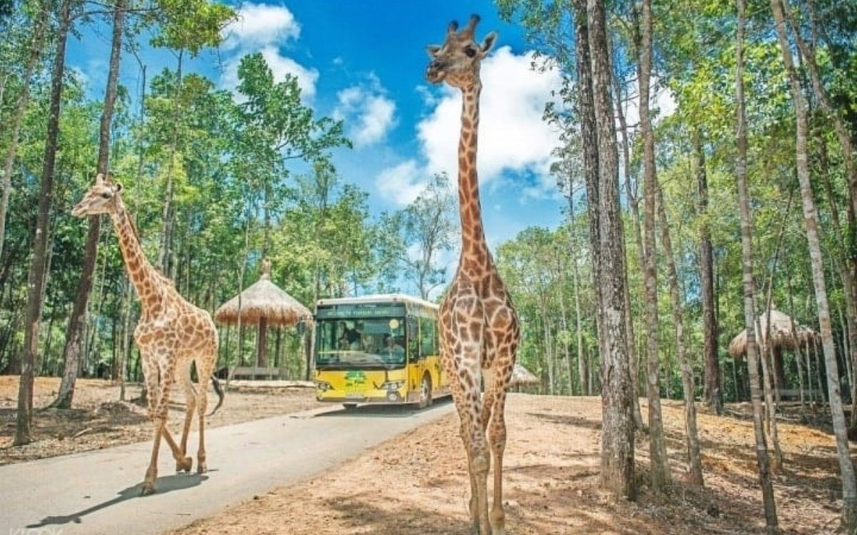 Khám phá Vinpearl Safari khi du lịch Phú Quốc tháng 12