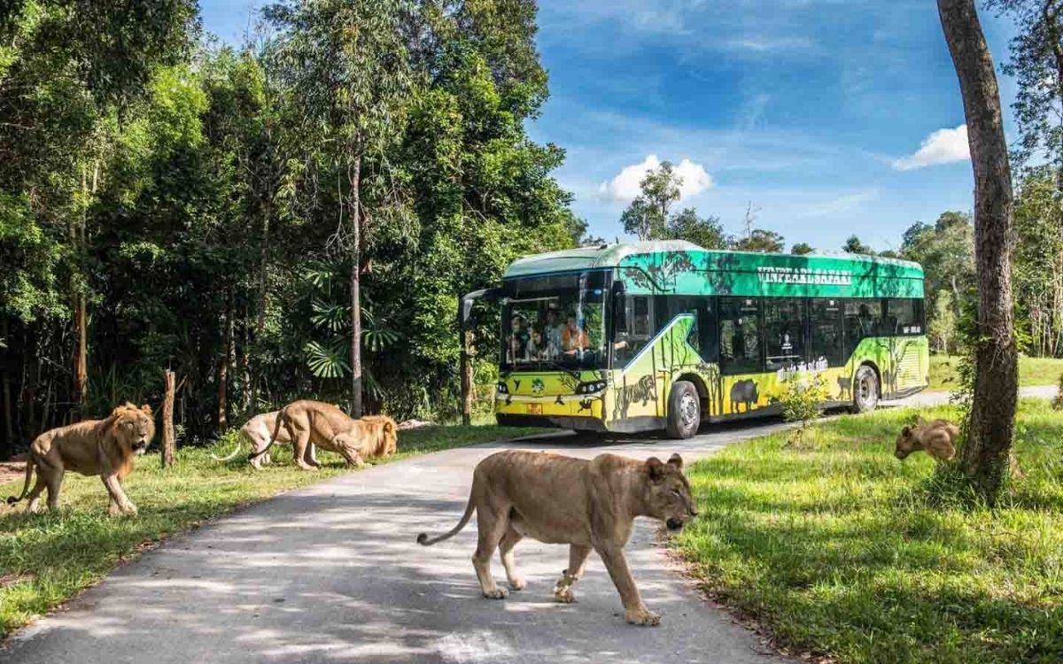 Tham quan Vinpearl Safari khi du lịch Phú Quốc tháng 12