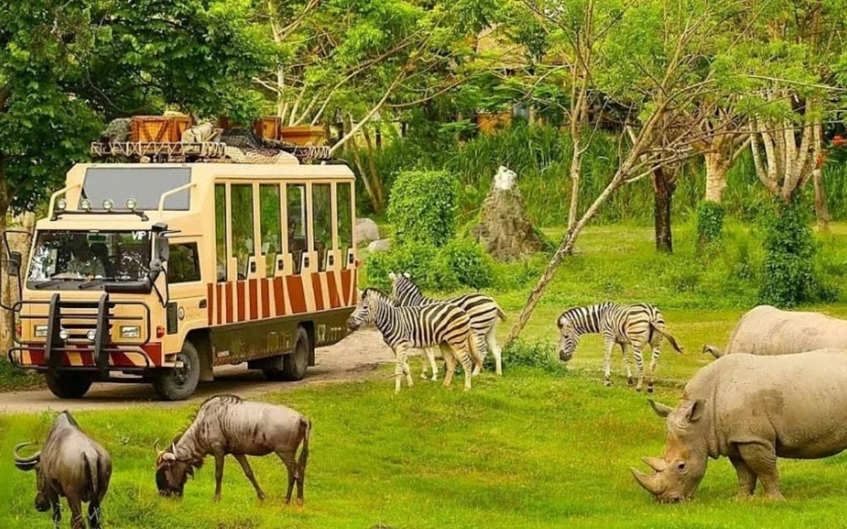 Tham quan Vinpearl Safari Phú Quốc khi đi Phú Quốc tháng 2
