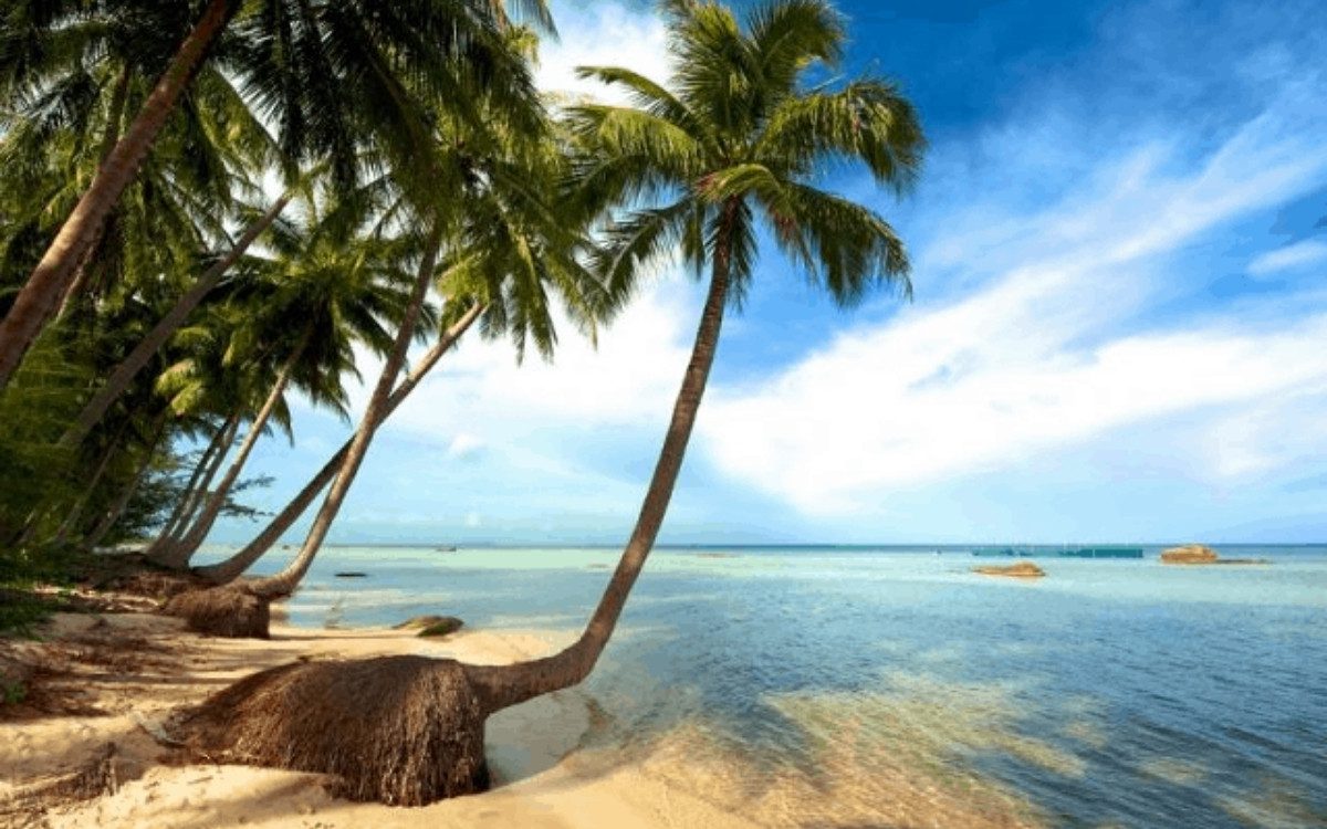 Khám phá Bãi Sao khi du lịch Phú Quốc tháng 3