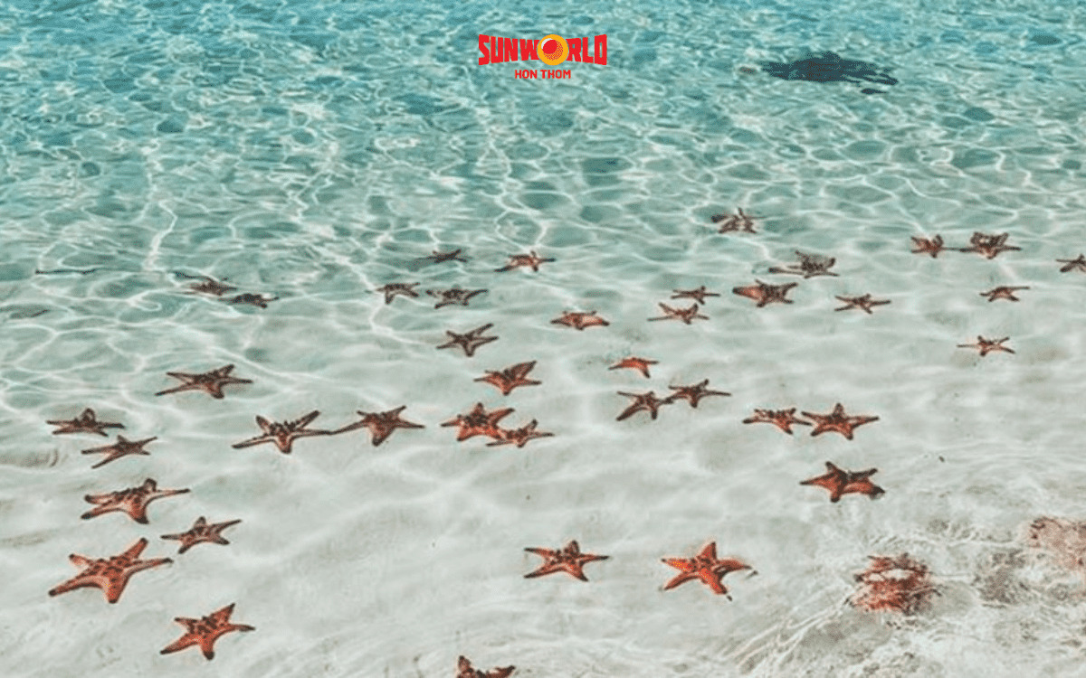 du lịch phú quốc tháng 6