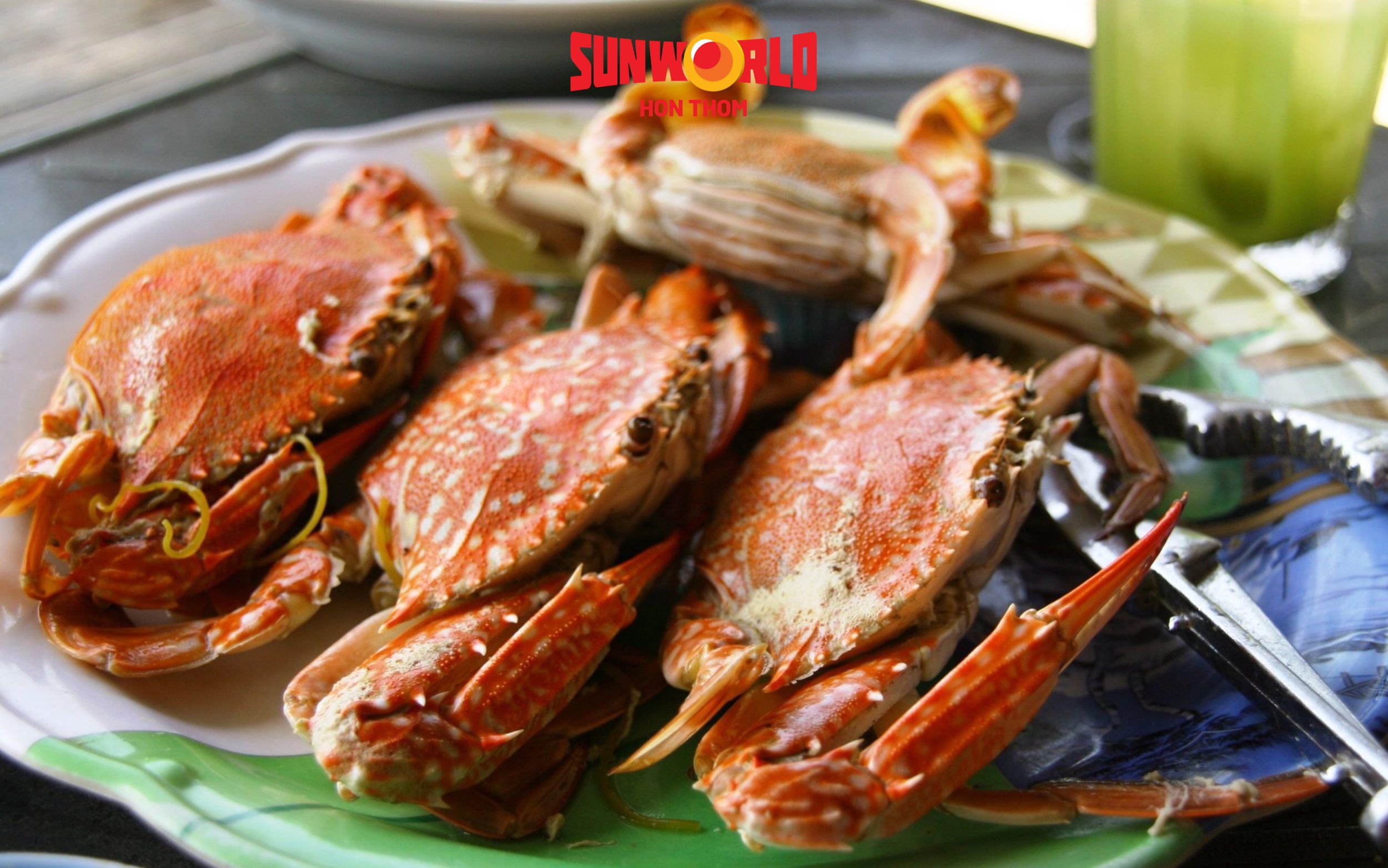 làng chài hàm ninh