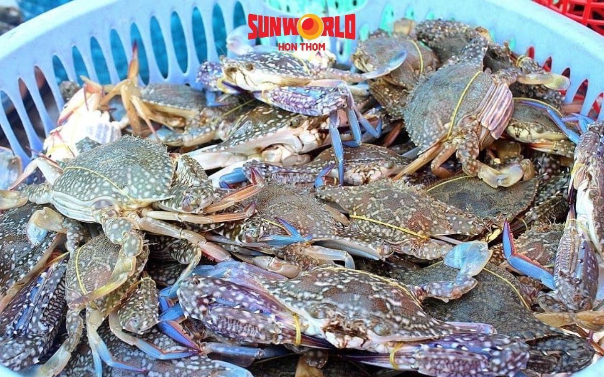 Ăn gì ở hòn thơm