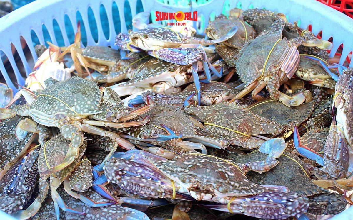 gành dầu phú quốc