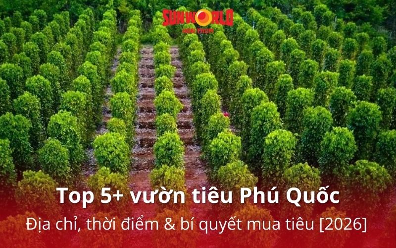 vườn tiêu phú quốc