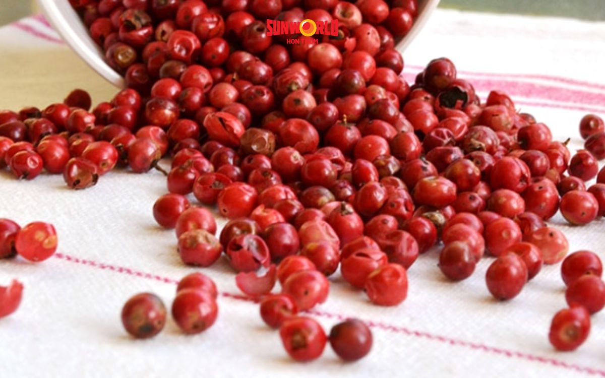 vườn tiêu phú quốc